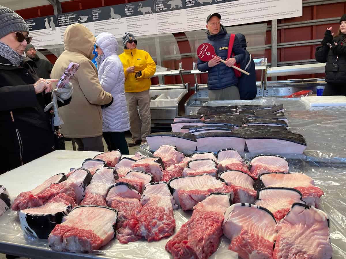 A Nuuk walking tour offered a chance to sample mukluk (credit: John and Sandra Nowlan)