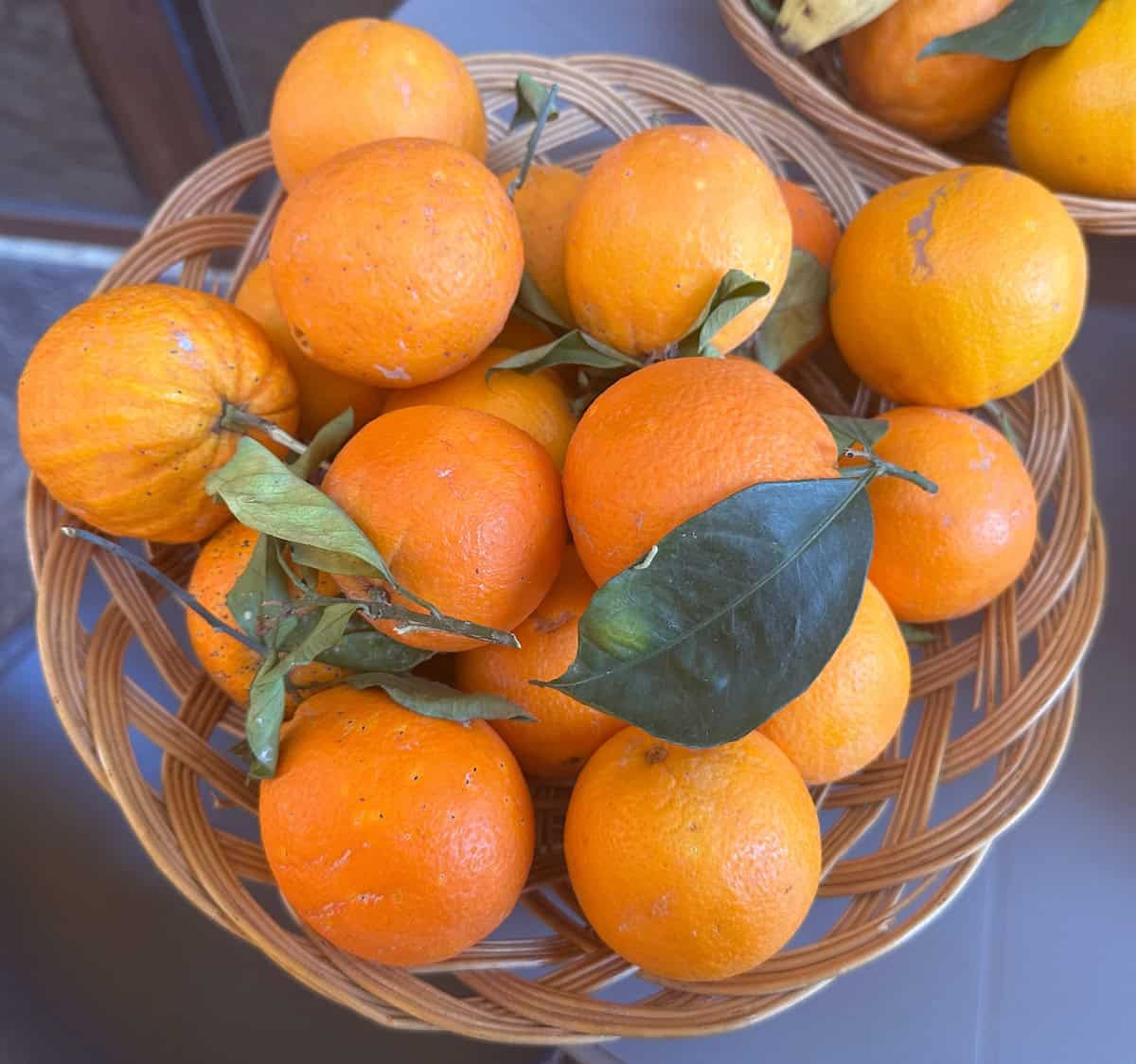 Sicilian Oranges (credit: Jerome Levine)