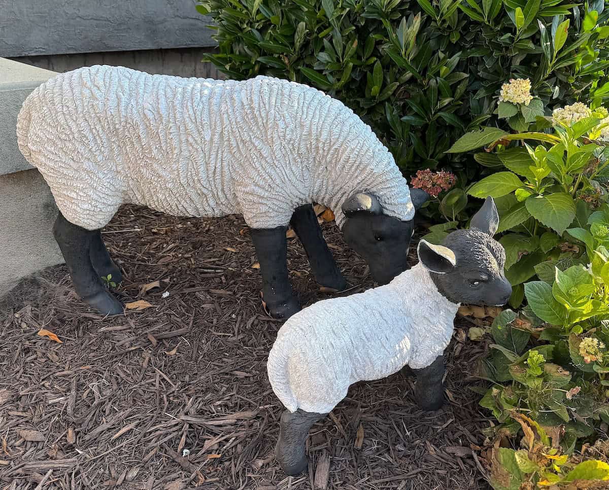 Sheep statues outside the Bolling Wilson Hotel (credit: Jackie Sheckler Finch)