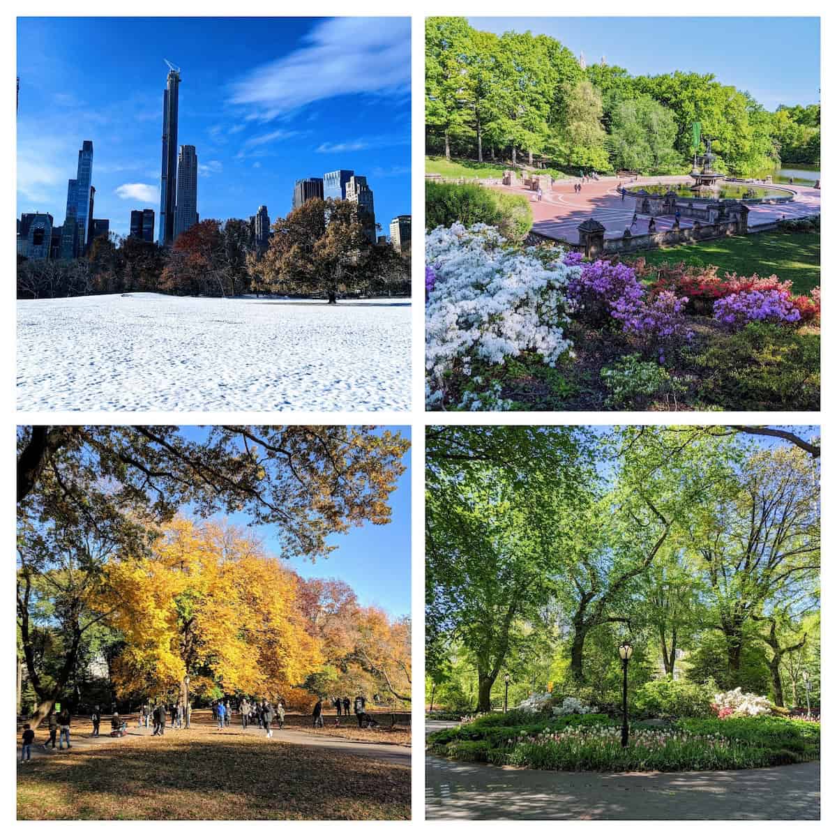 Central Park: Beautiful in every season (credit: Irene S. Levine)