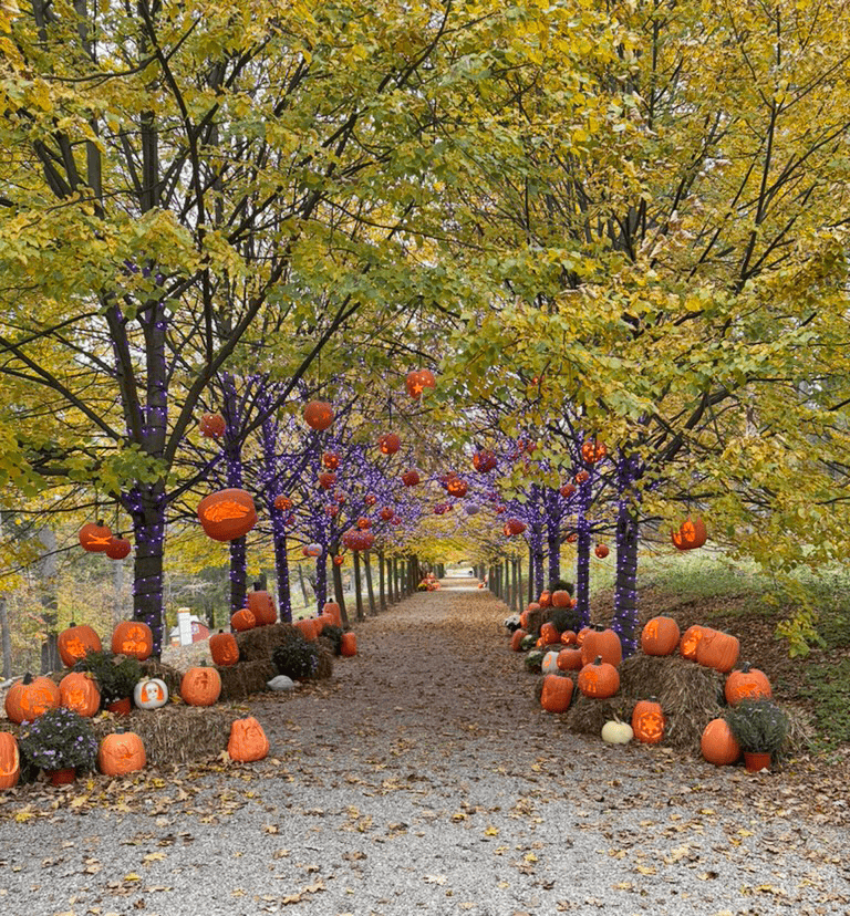 The Pumpkin Show at Naumkeag in the Berkshires (credit: Laura Kelly)