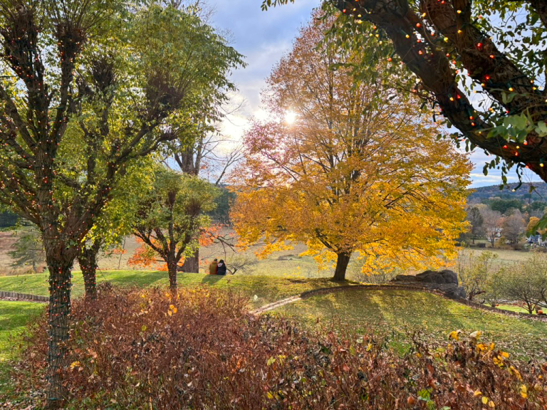 One of the many late-afternoon vistas we loved at Naumkeag (credit: Laura Kelly)