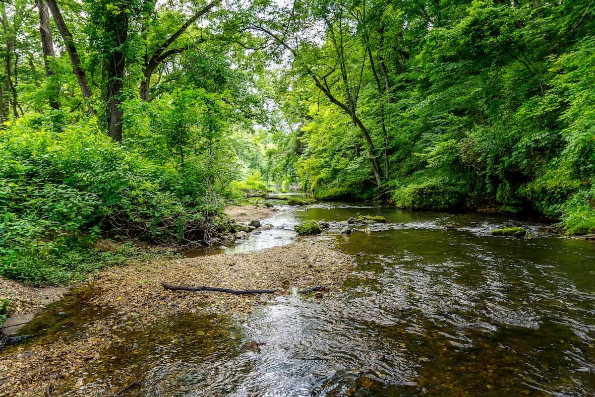 Backbone State Park in Iowa (credit: Adobe stock)
