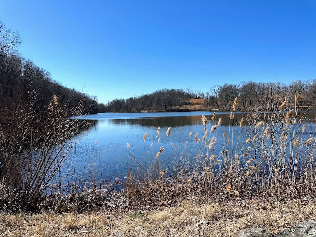 Rockefeller State Park Preserve in New York in winter (credit: Jerome Levine)