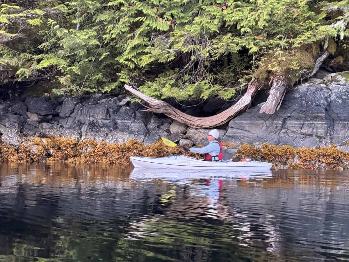 You can take a kayak out for an early morning or evening exploration of the shoreline (credit: James Ross)