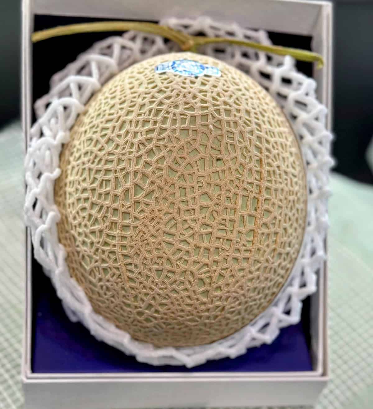 A pricey Japanese melon (credit: Jerome Levine)