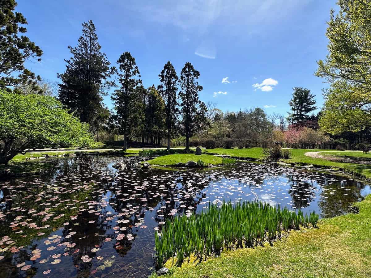 Hammond Museum & Japanese Stroll Garden: An Oasis of Serenity (credit: Jerome Levine)