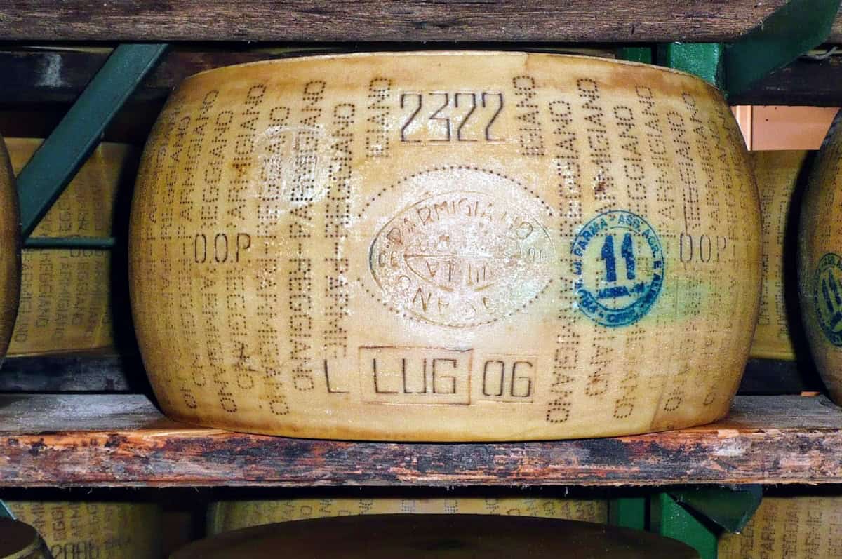 Wheel of Parmigiano-Reggiano cheese in Emilia Romagna (credit: Jerome Levine)