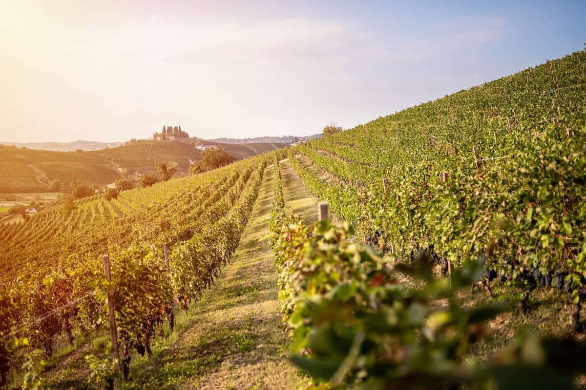 Frasca Winery in the Nizza Monferrato area of Piedmont (credit: Frasca Wine)