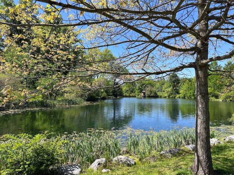 Rockefeller State Park in Pleasantville, NY (credit: Jerome Levine)