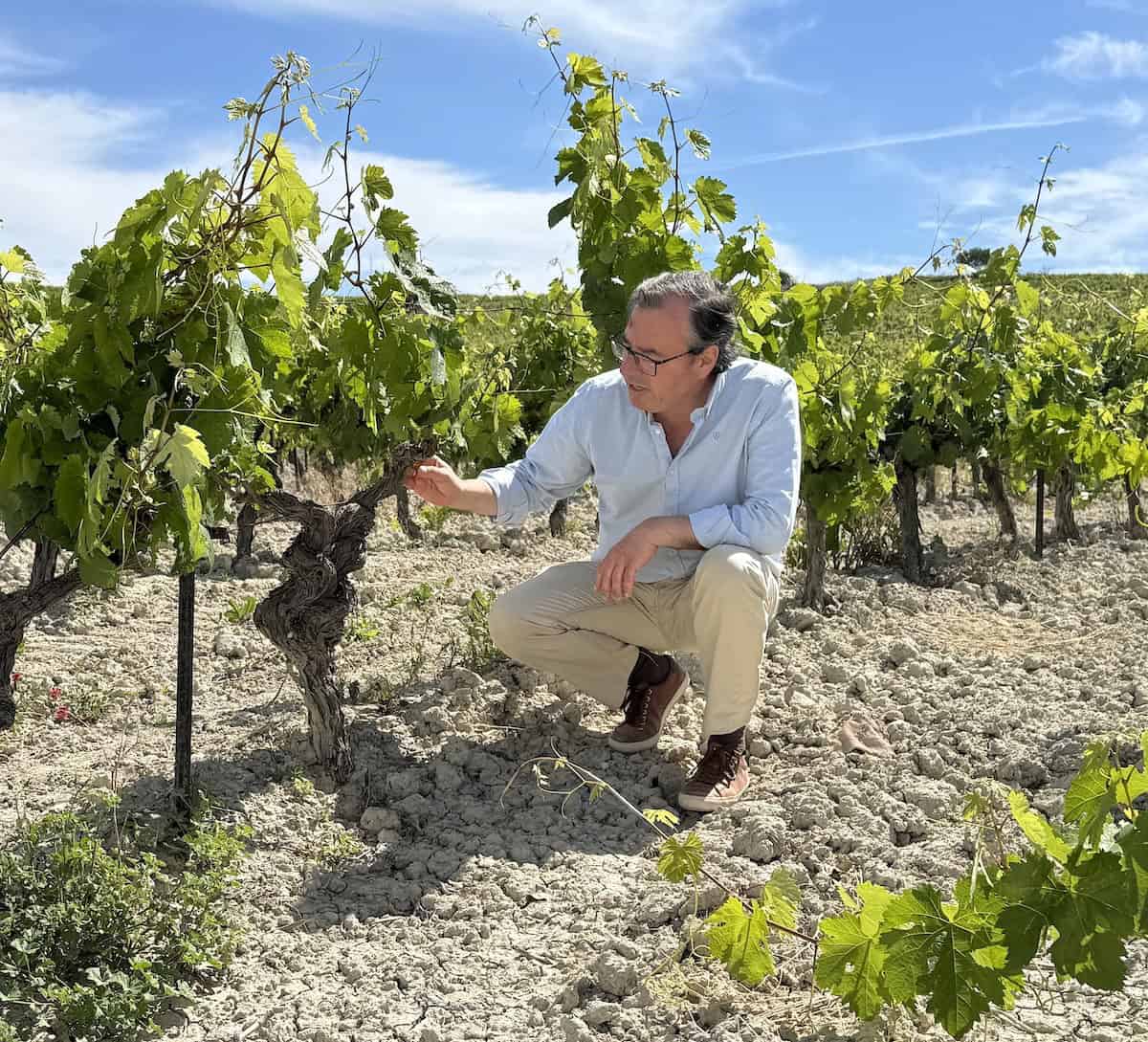 Dr. Mauricio Lorente explains how the soil grows great grapes at Viña Lorente & Barba (credit: Jackie Sheckler Finch)
