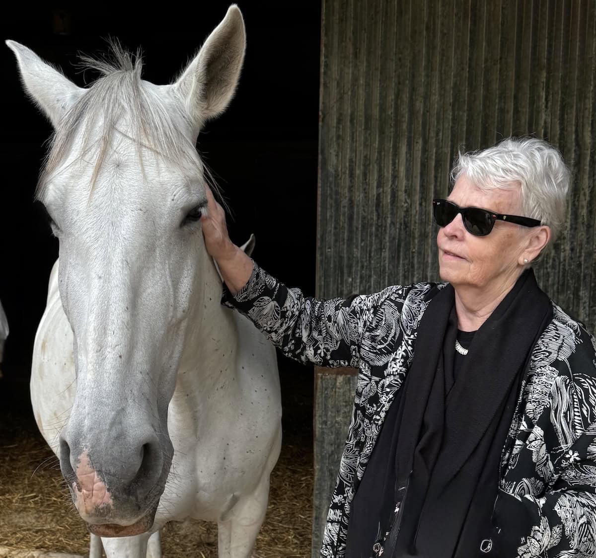 The writer with a Carthusian horse at Yeguada Cartuja Hierro del Bocado (credit: Jackie Sheckler Finch)