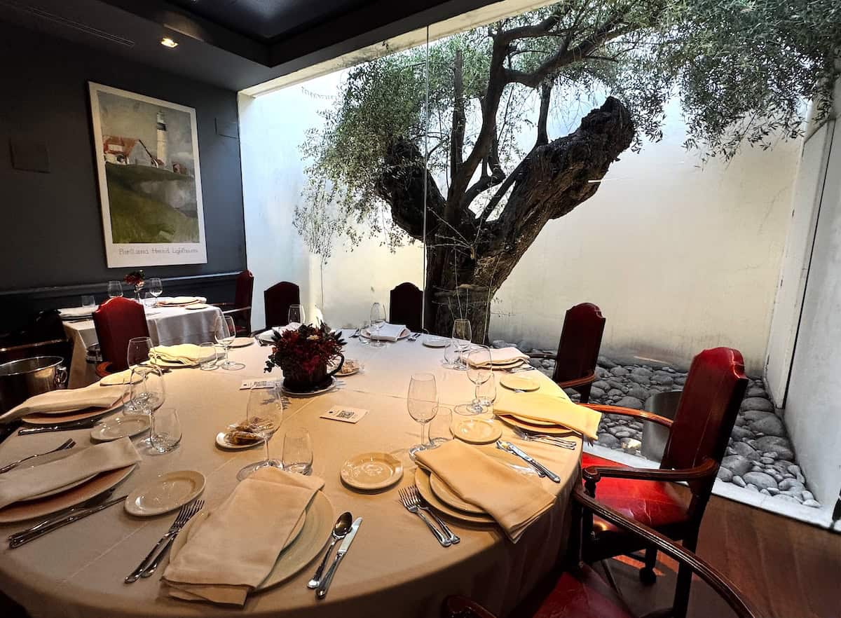 A tree grows inside El Faro de El Puerto de Santa Maria (credit: Jackie Sheckler Finch)