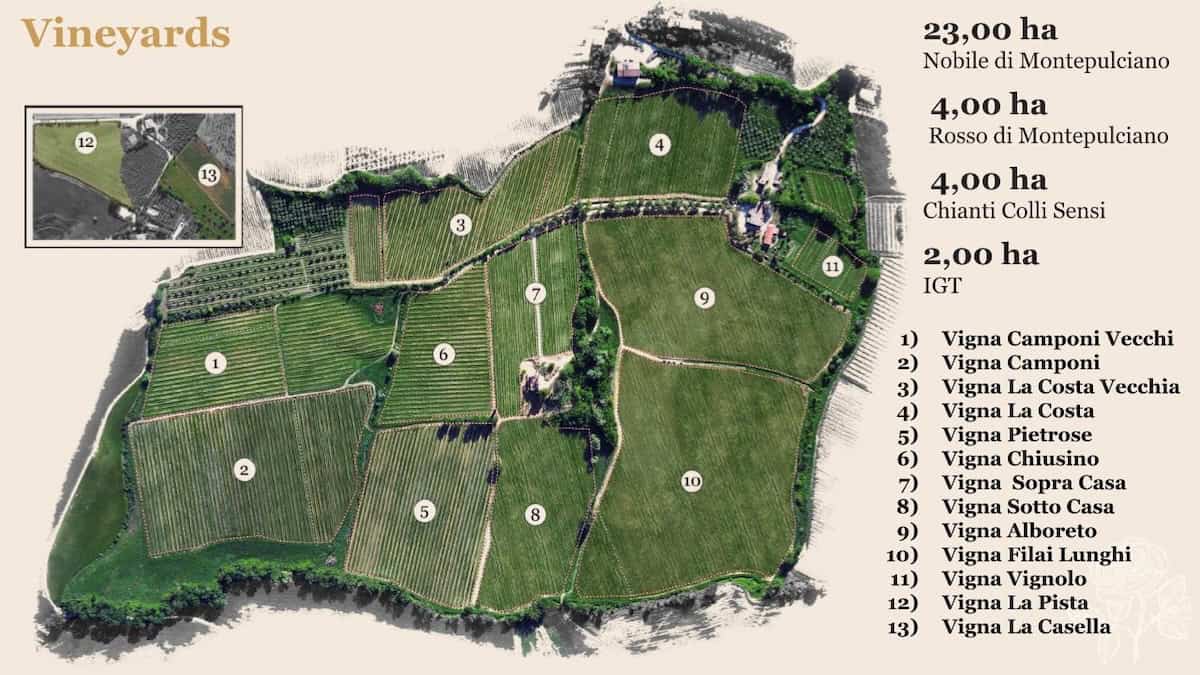 The 13 vineyards at Talosa Winery (credit: Talosa)