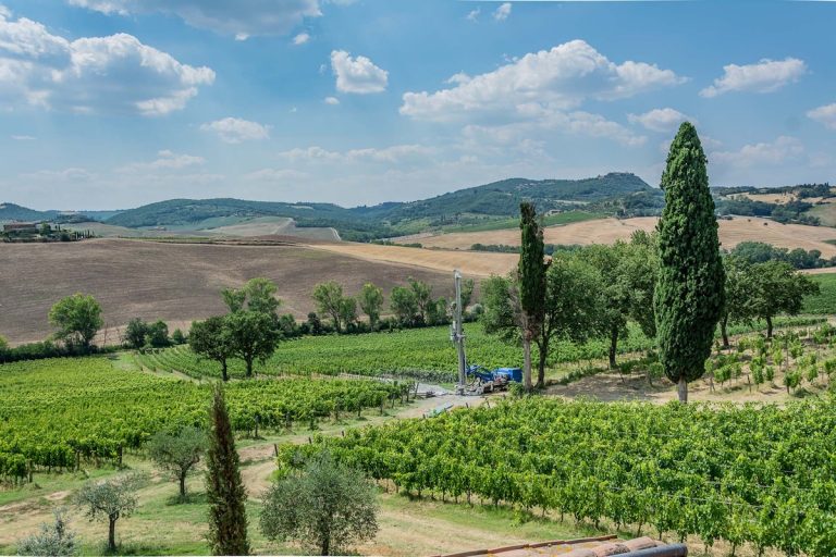 View of the Talosa vineyards (credit: Talosa)