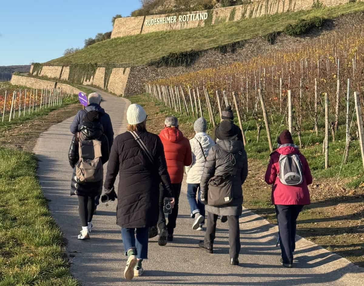 We hiked through the vineyards of Rüdesheim with sweeping views over the Rhine (credit: James Ross)