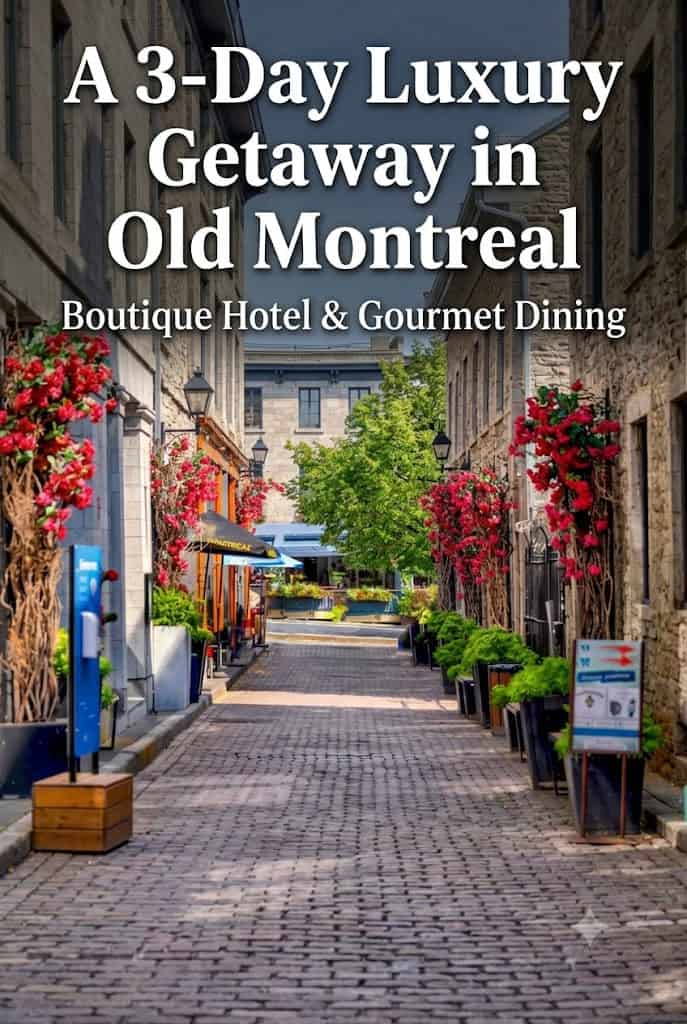 Old Montreal pin